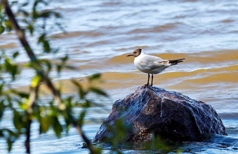 Photograph by Юлия Персинен