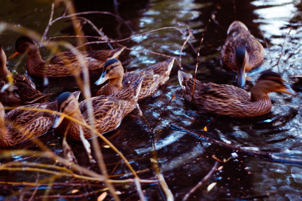 Photograph by Алексей Морозов