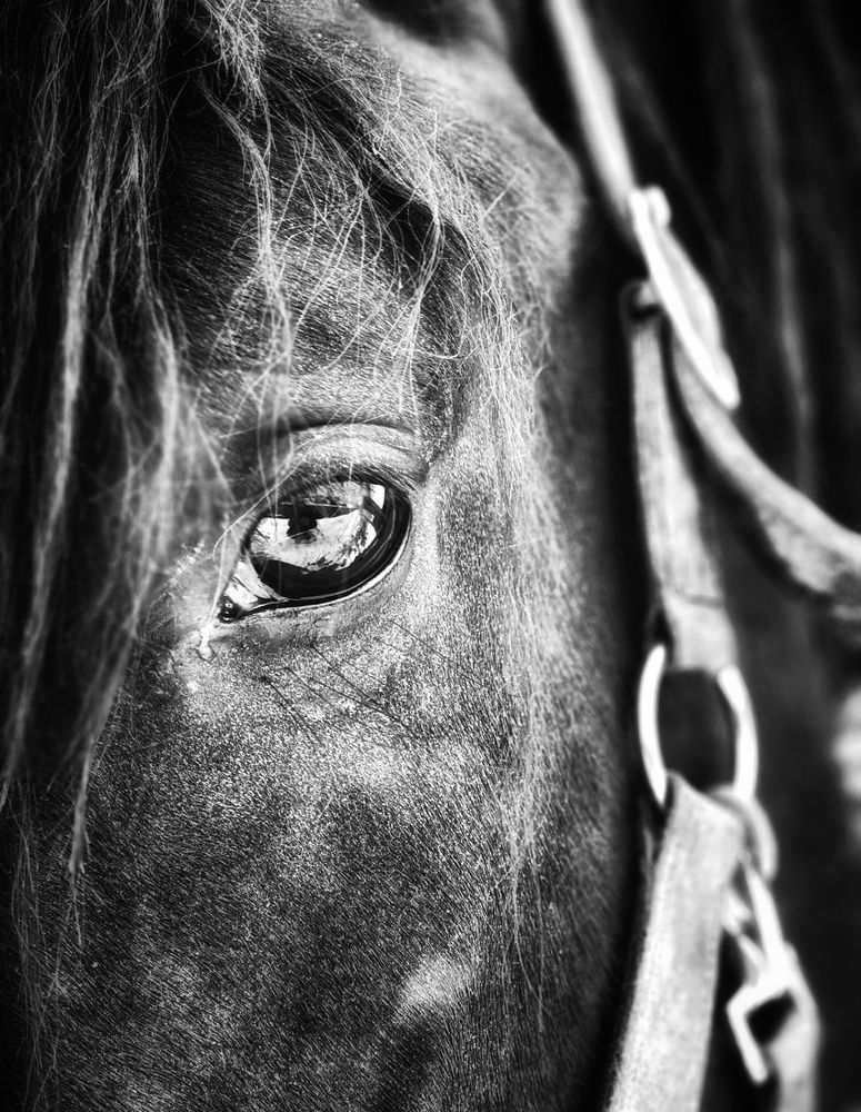 Фотография автора Alina Filimonova