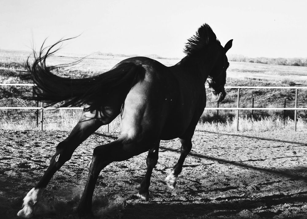 Photograph by Ирина Ненашева