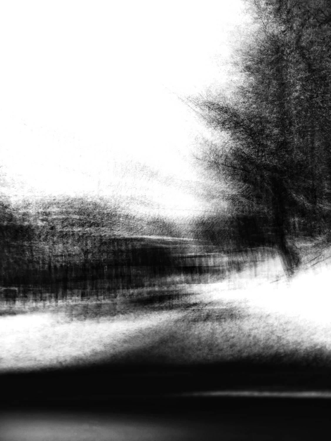 Черным по белому