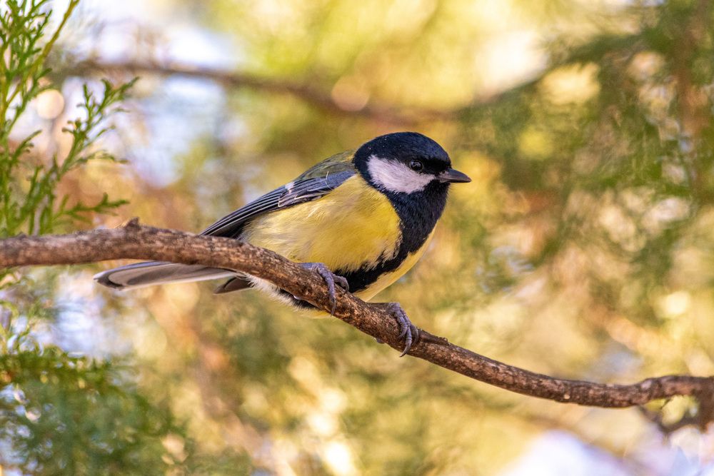 Photograph by Иван Губский