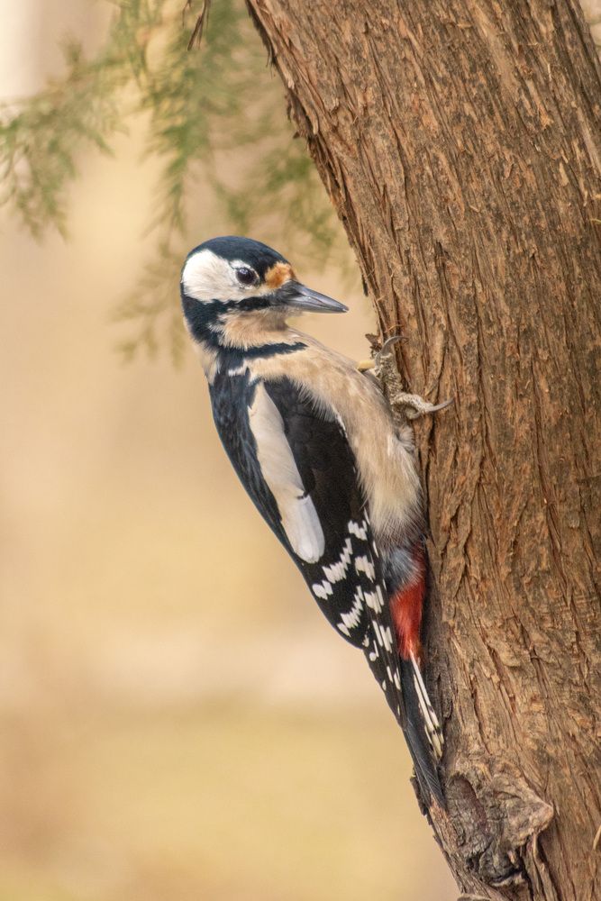 Photograph by Иван Губский