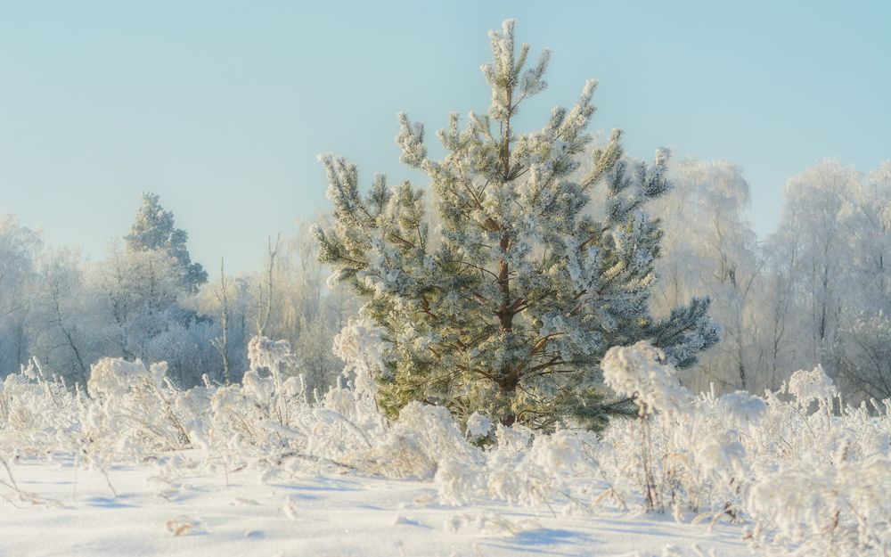 Photograph by Сергей Дишук