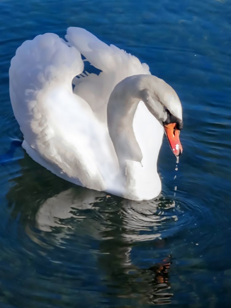 Photograph by Володин Андрей