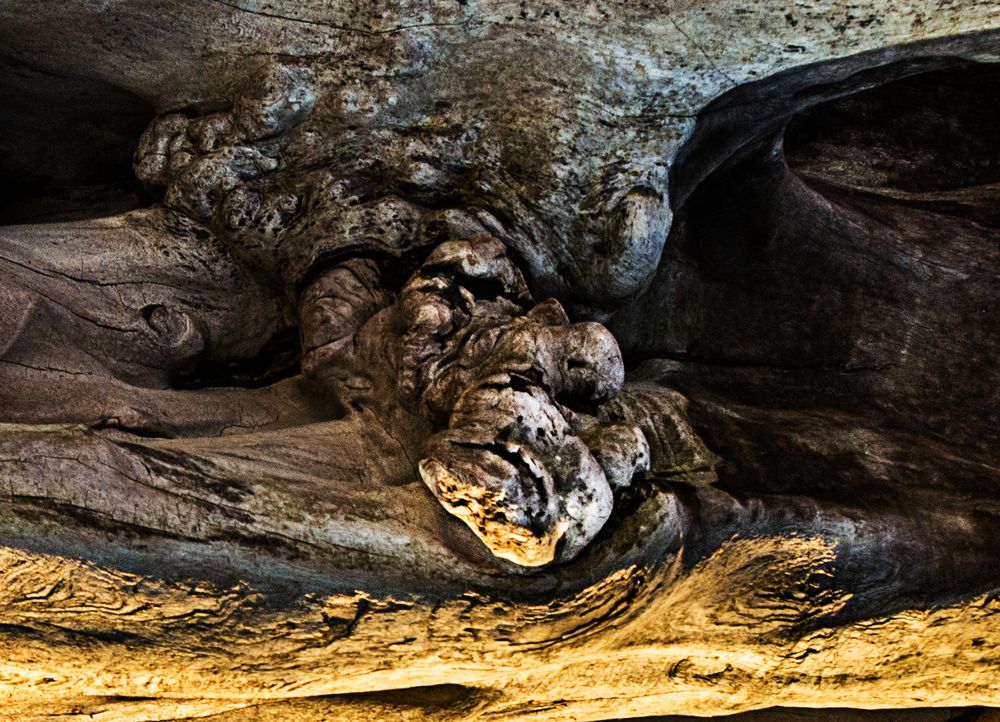 Photograph by Nikolai Barchan