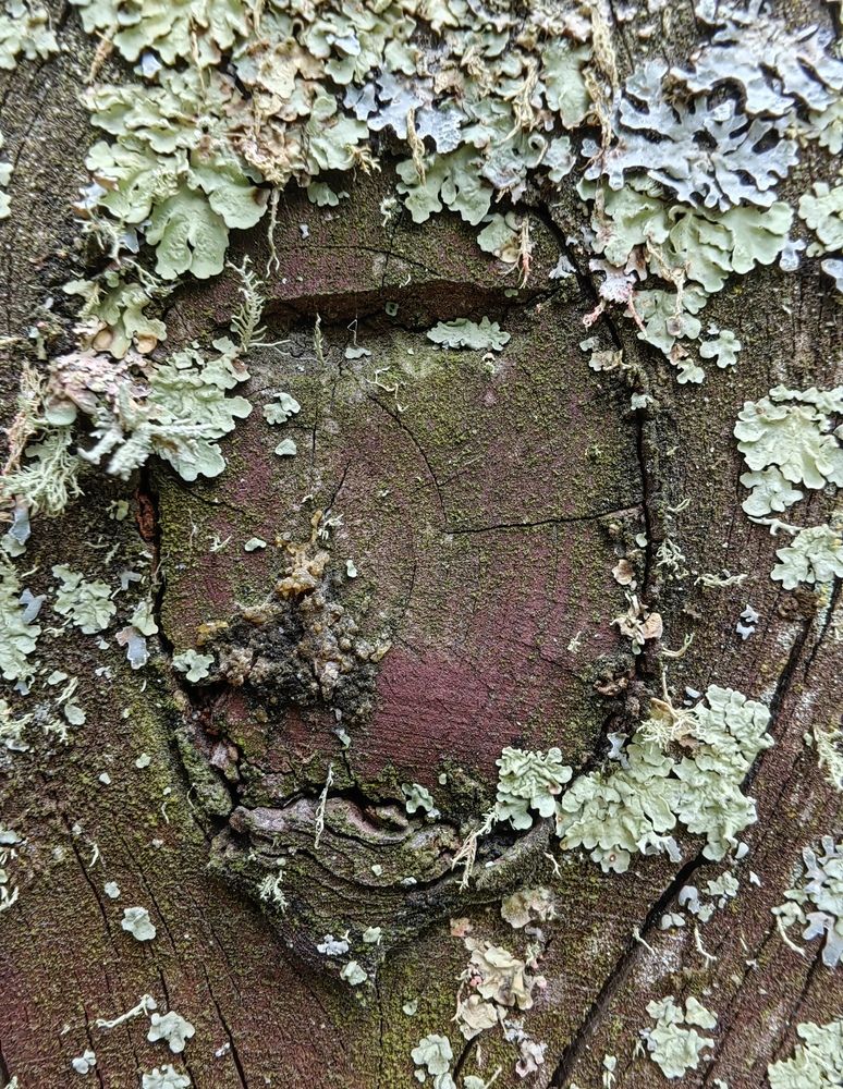 Фотография автора Алёна С-К