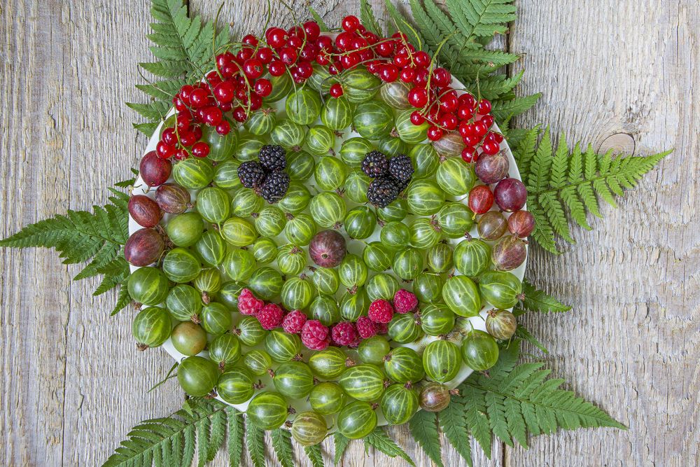 Фотография автора Юрий Баженов