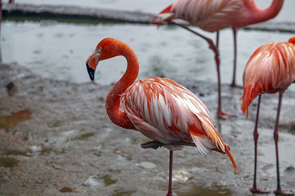 Фотография автора Dmitriy Frost