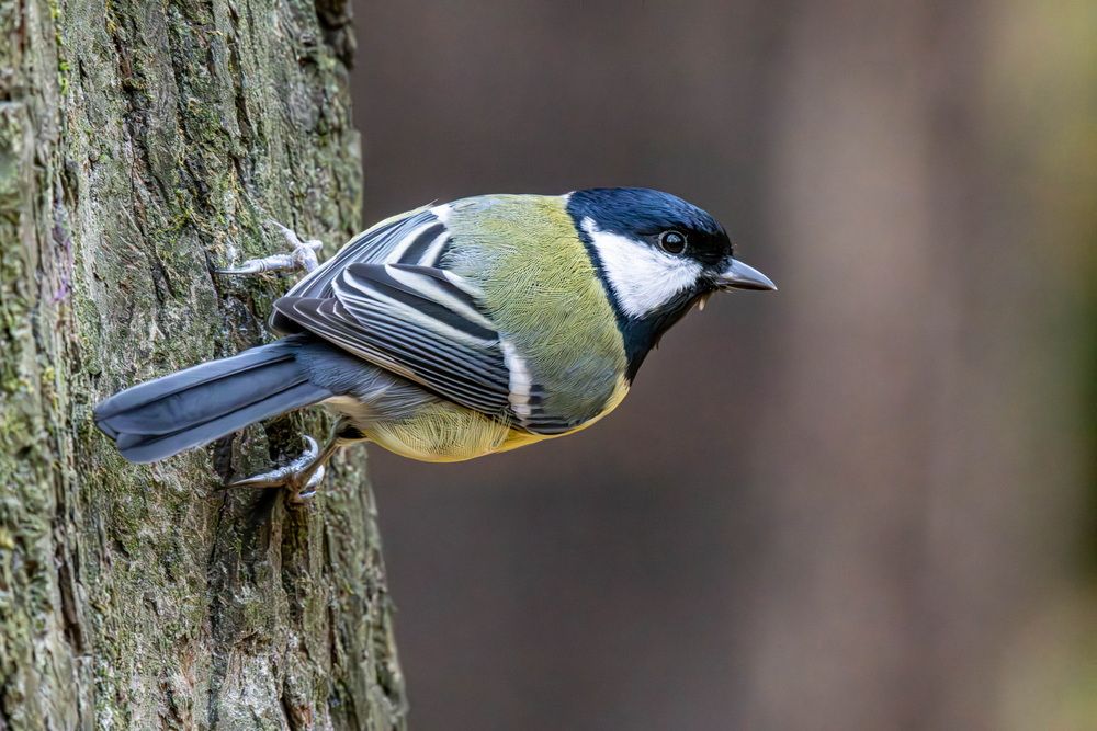 Photograph by Волынский Виктор