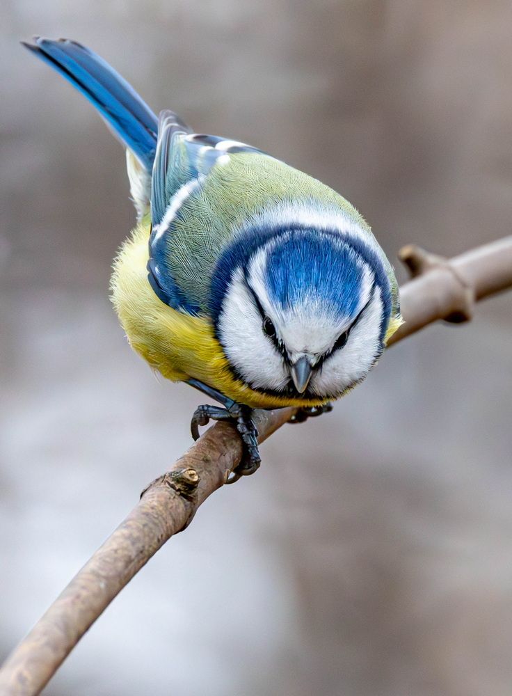 Photograph by Волынский Виктор