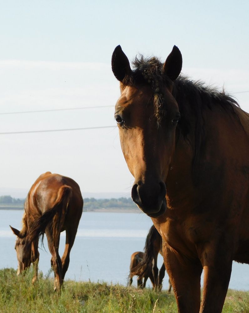 Photograph by Сергей Чеченов