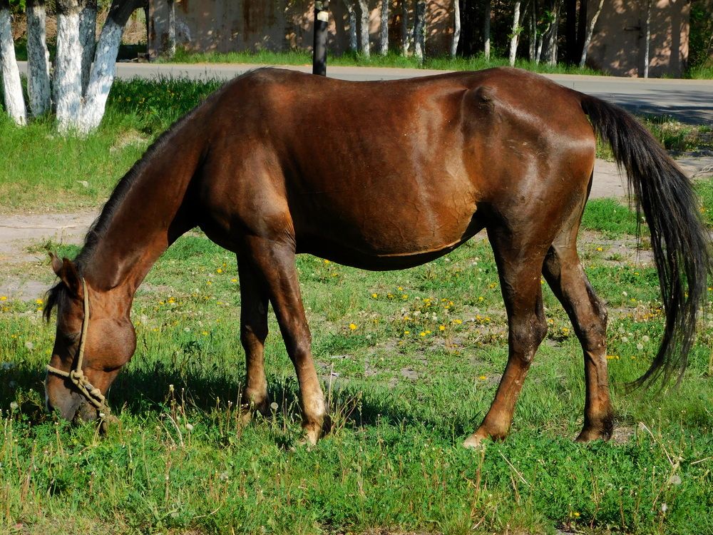 Photograph by Сергей Чеченов