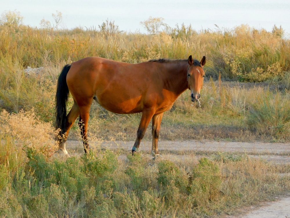 Photograph by Сергей Чеченов