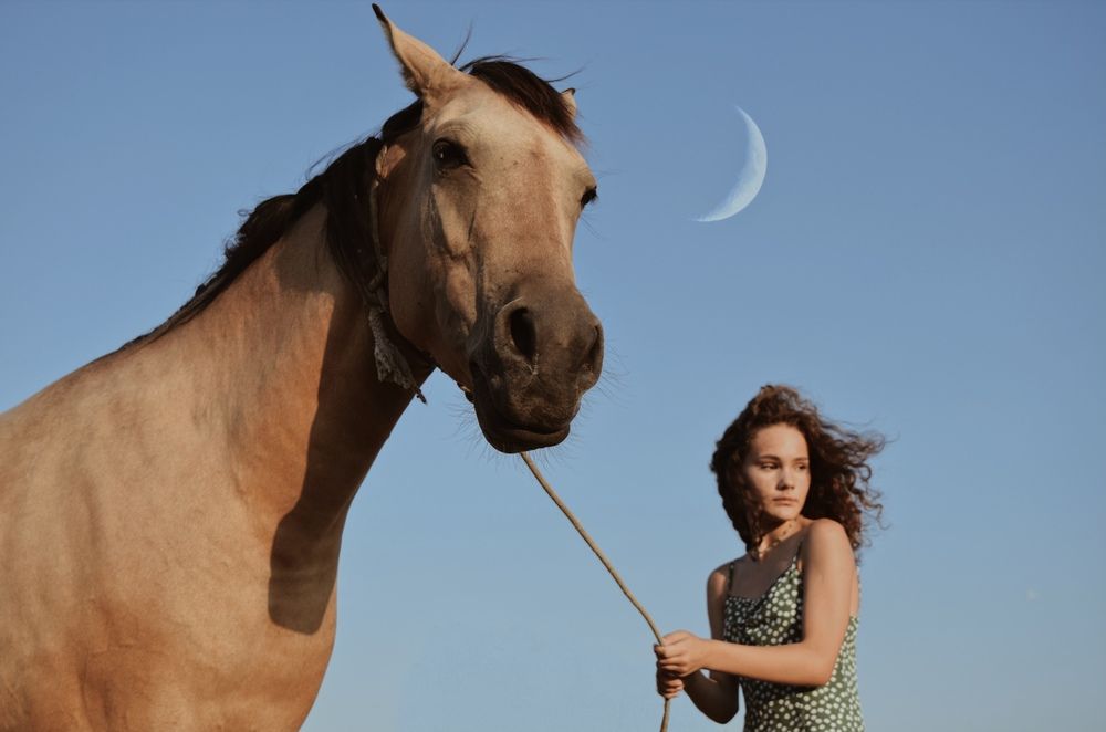 Фотография автора Алиса Дресвянникова