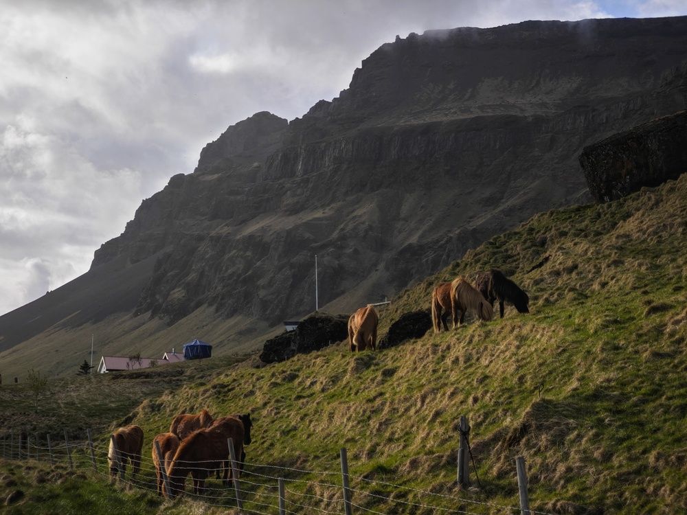 Фотография автора Татьяна Соколовская