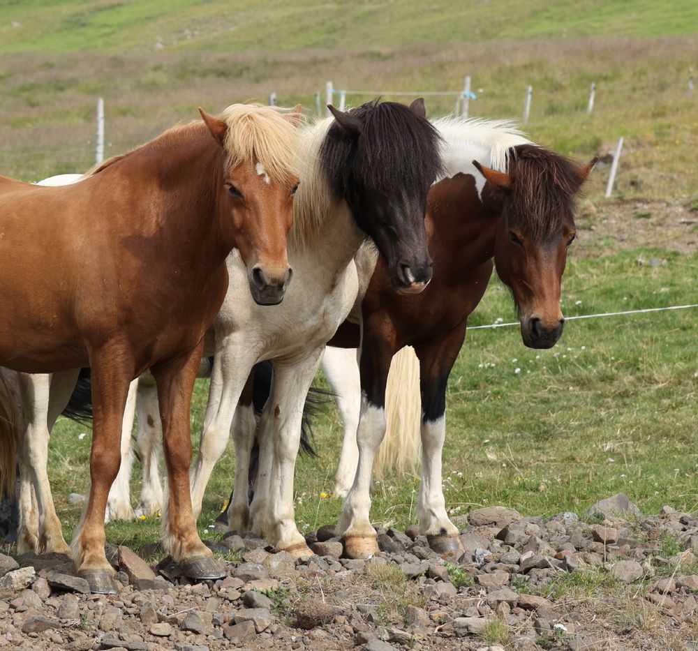 Photograph by Борис Лишневский