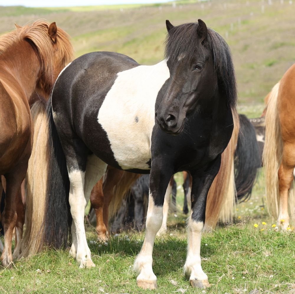 Photograph by Борис Лишневский