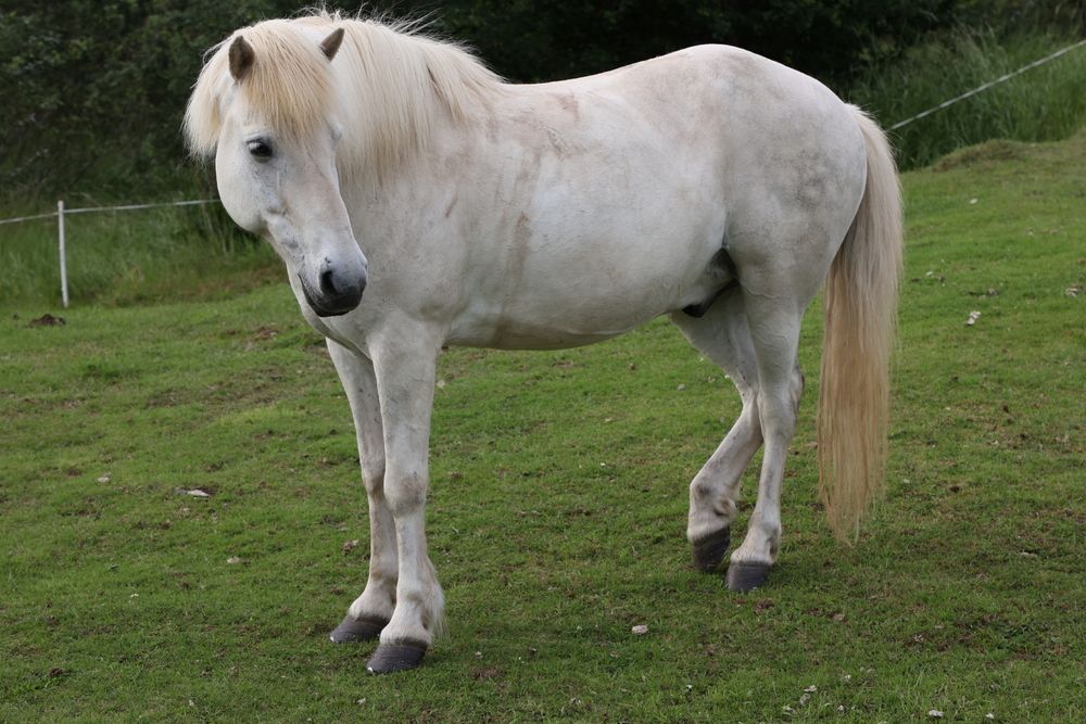 Photograph by Борис Лишневский