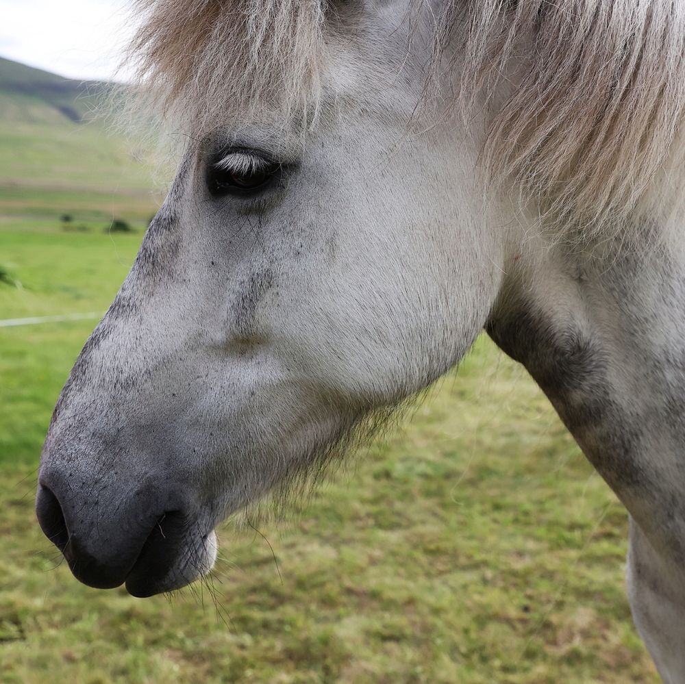 Photograph by Борис Лишневский