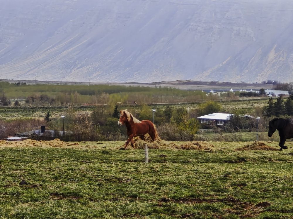 Фотография автора Татьяна Соколовская