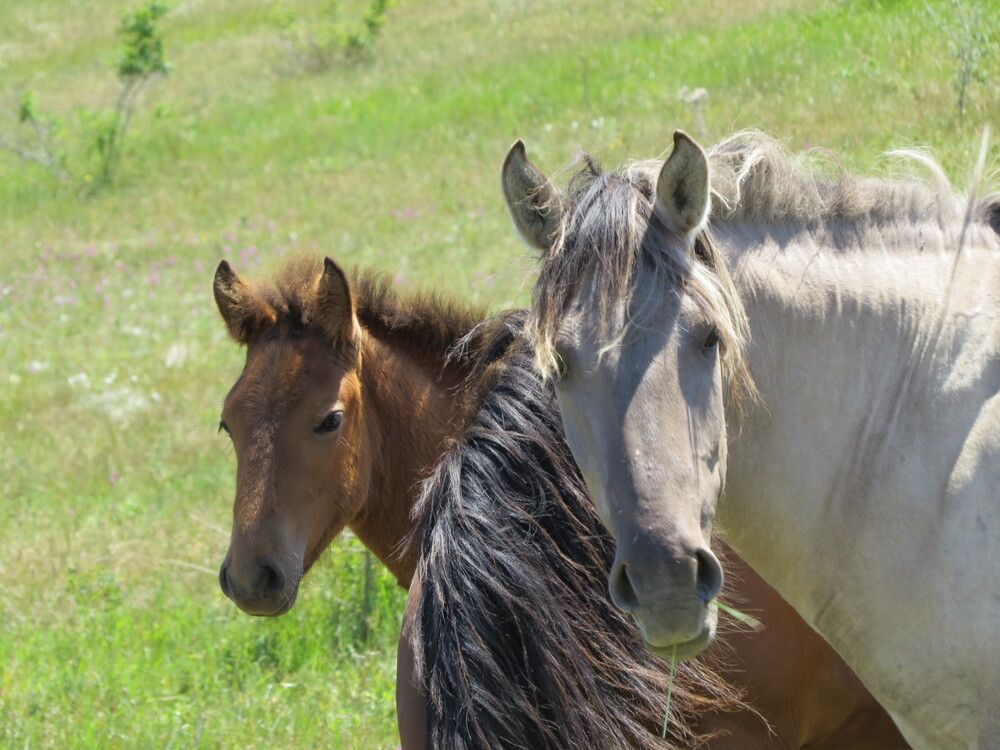 Photograph by Татьяна Стаскевич