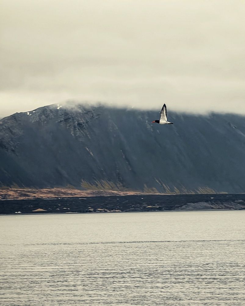 Photograph by Татьяна Соколовская