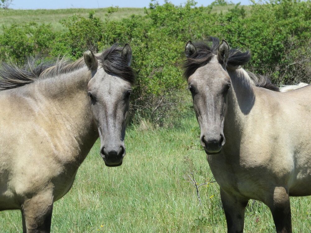 Photograph by Татьяна Стаскевич