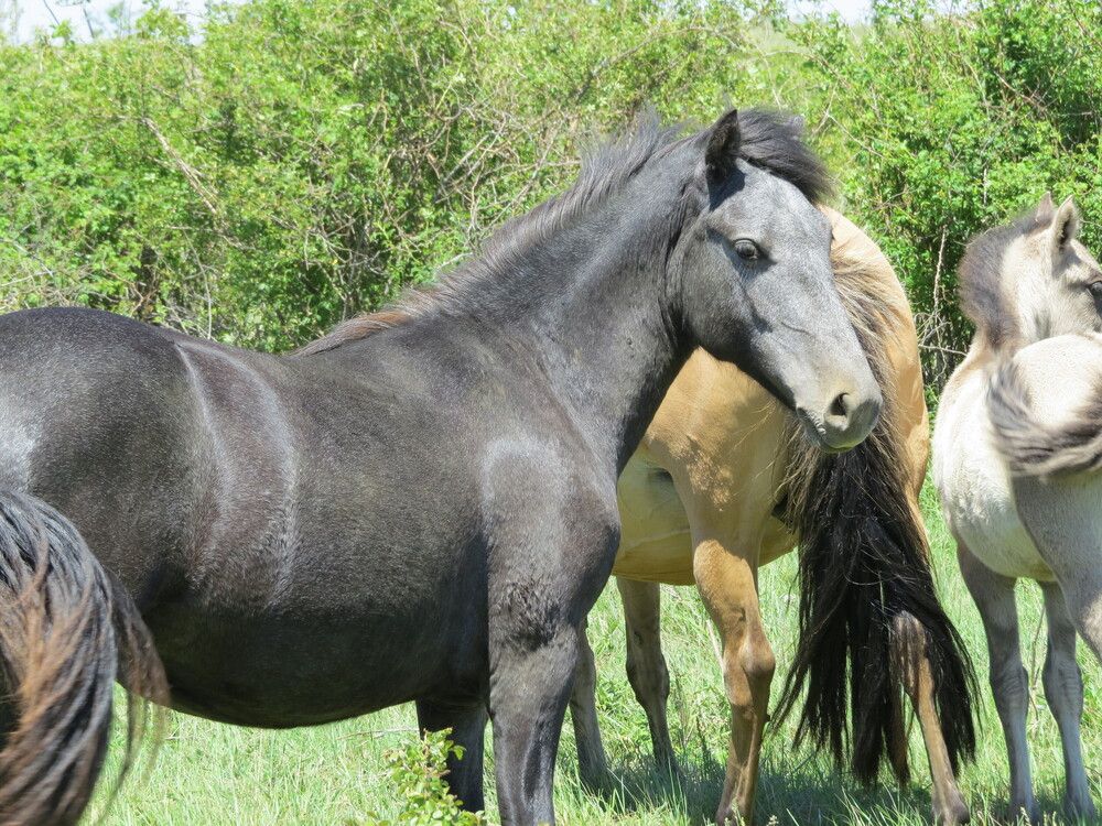 Photograph by Татьяна Стаскевич
