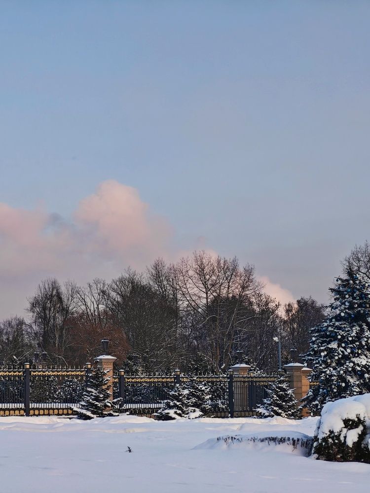 Фотография автора Татьяна Соколовская