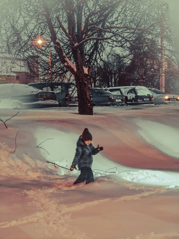 Фотография автора Татьяна Соколовская