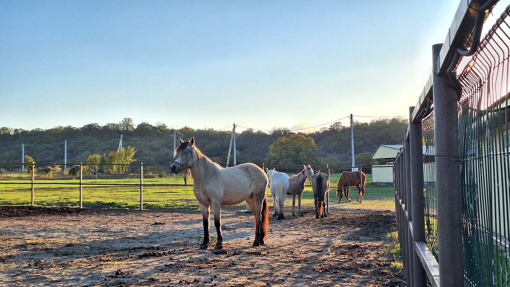 Photograph by Наталья Вялых
