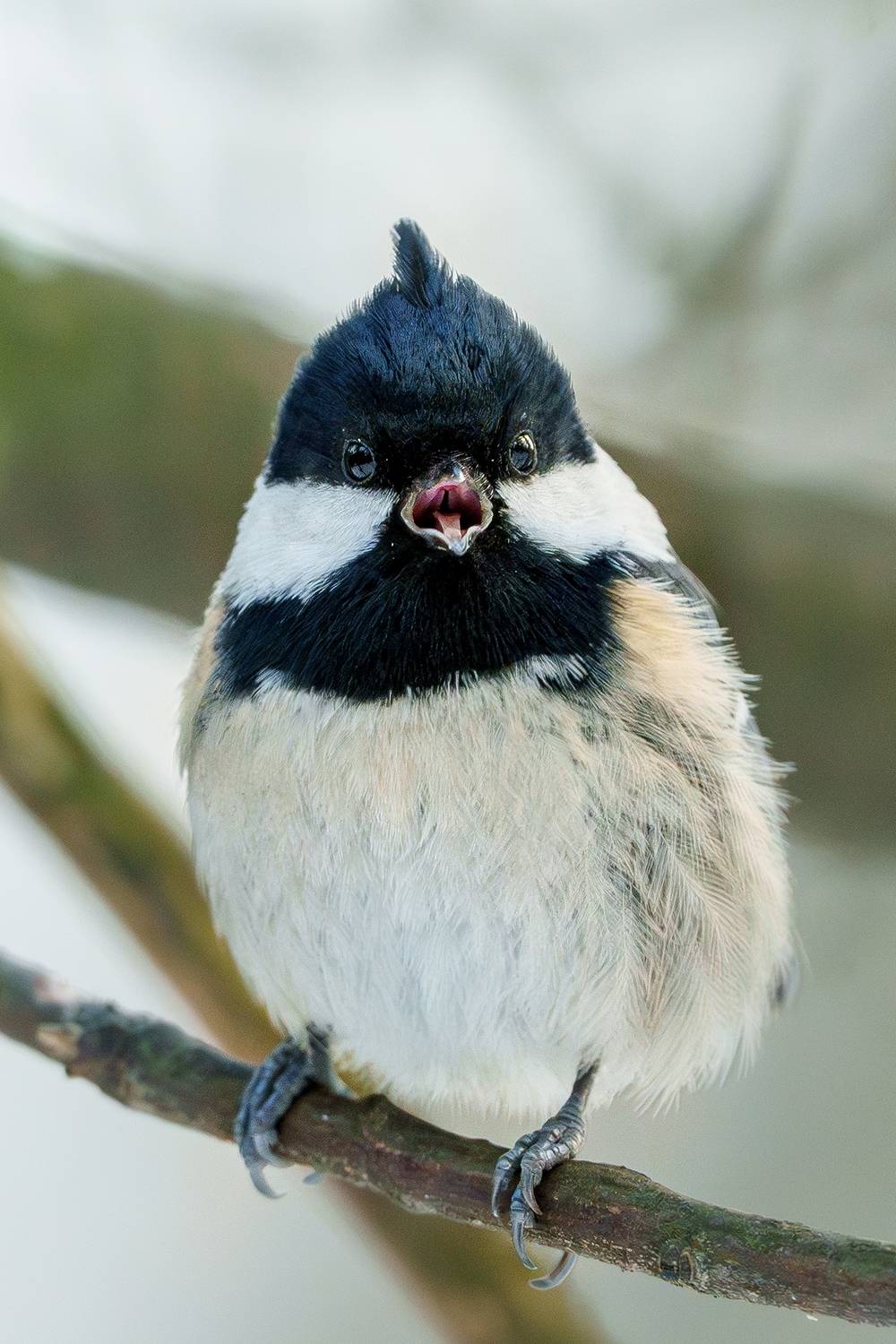 Когда проспал на работу.