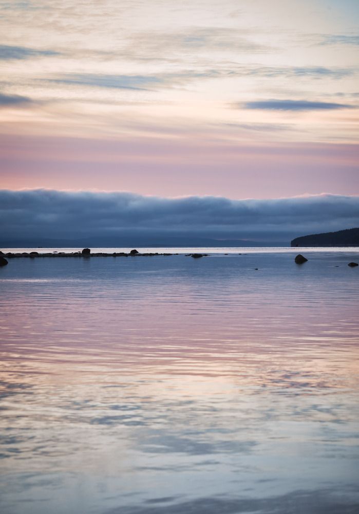 Фотография автора Елена Станькова