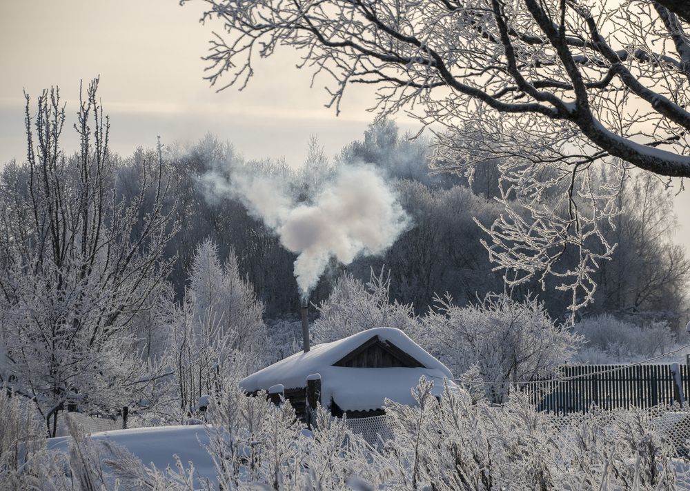 Фотография автора Елена Ефимова