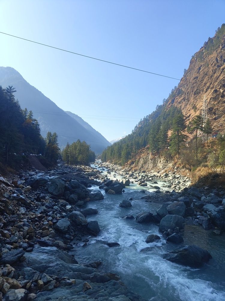 Photo #13109657