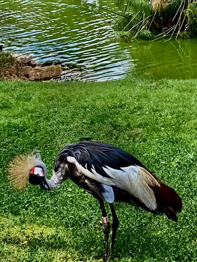 Photograph by Алла Киселева