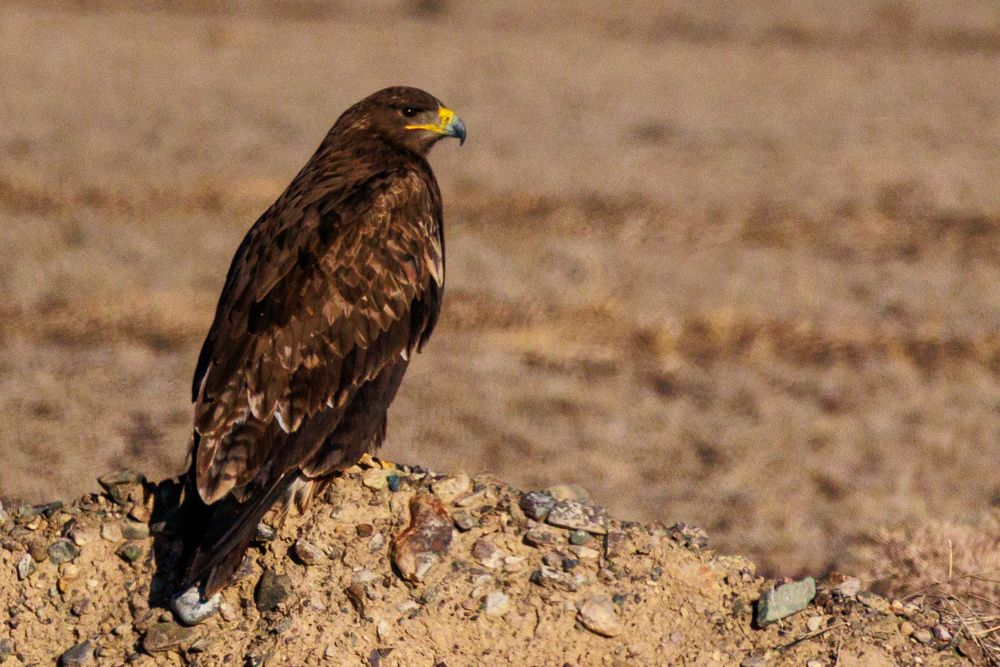 Photograph by Юлия Мальнева