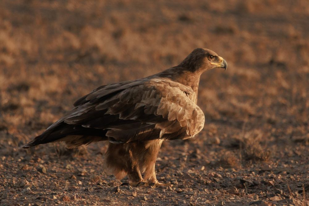 Photograph by Юлия Мальнева