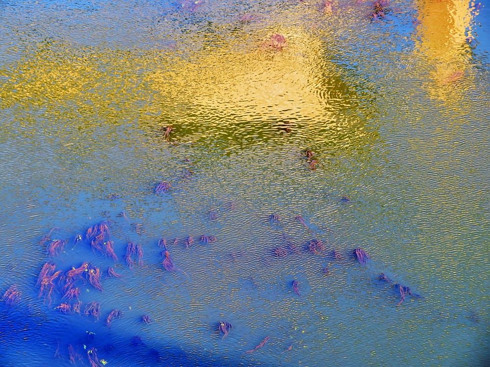 Photograph by Maria Isabel Moreira