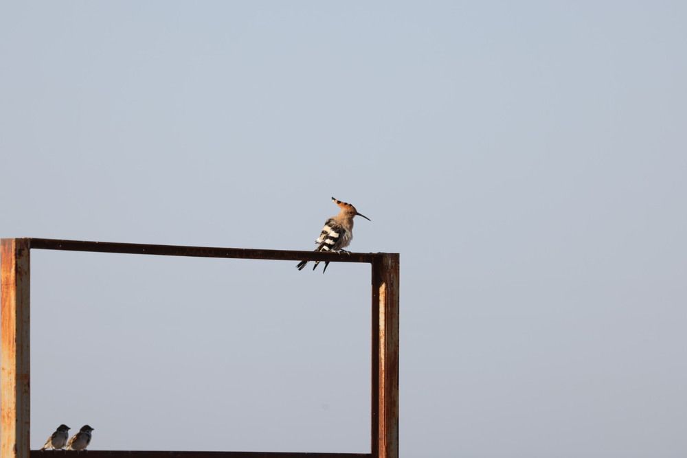 Photograph by Одаренко Ольга