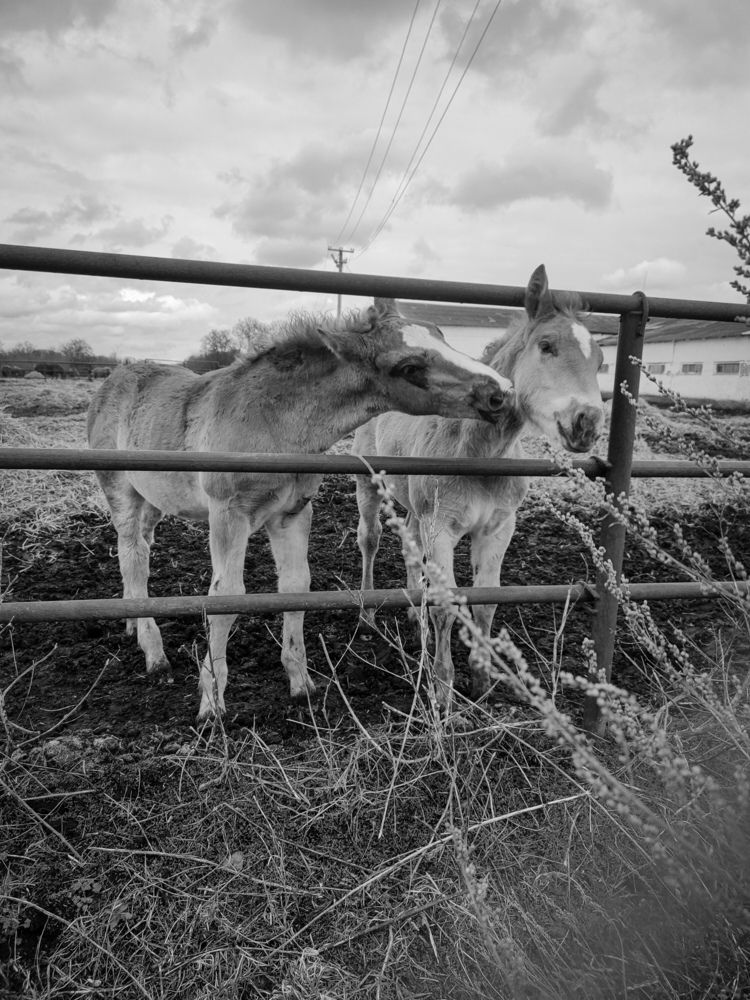 Photograph by Екатерина Смирнова