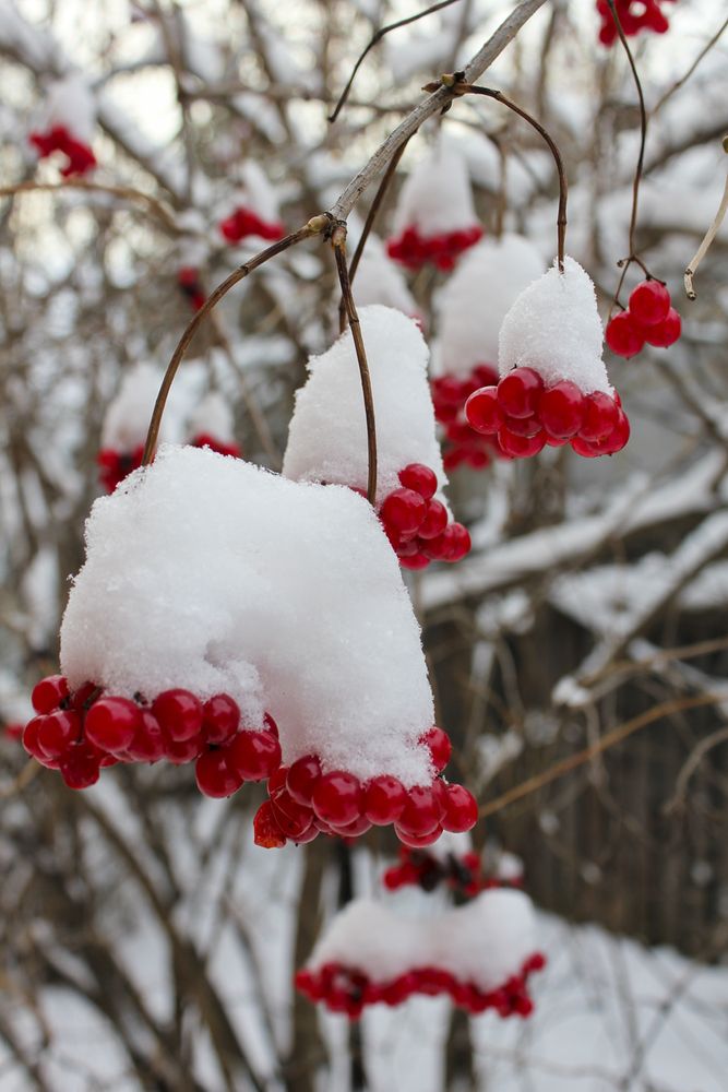 Фотография автора Татьяна Атисс