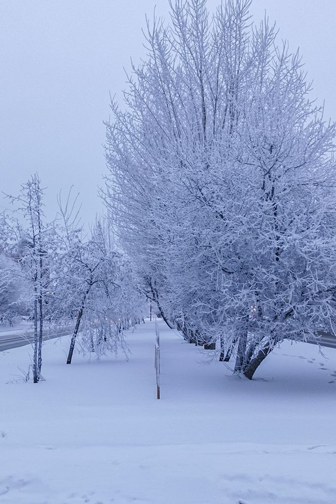 Фотография автора Татьяна Атисс