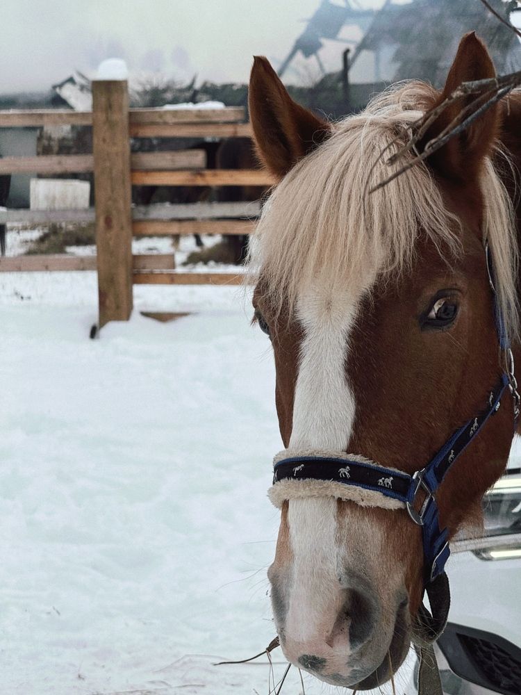 Photograph by Елена Войтова