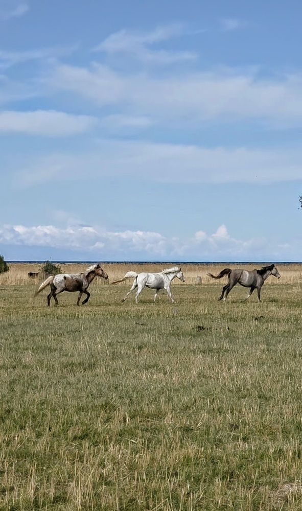 Photograph by Заира