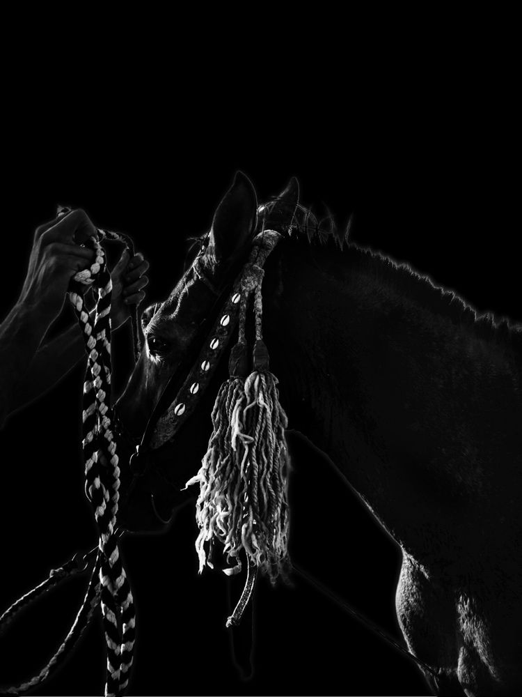 Photograph by MOHAMMED BRZAN