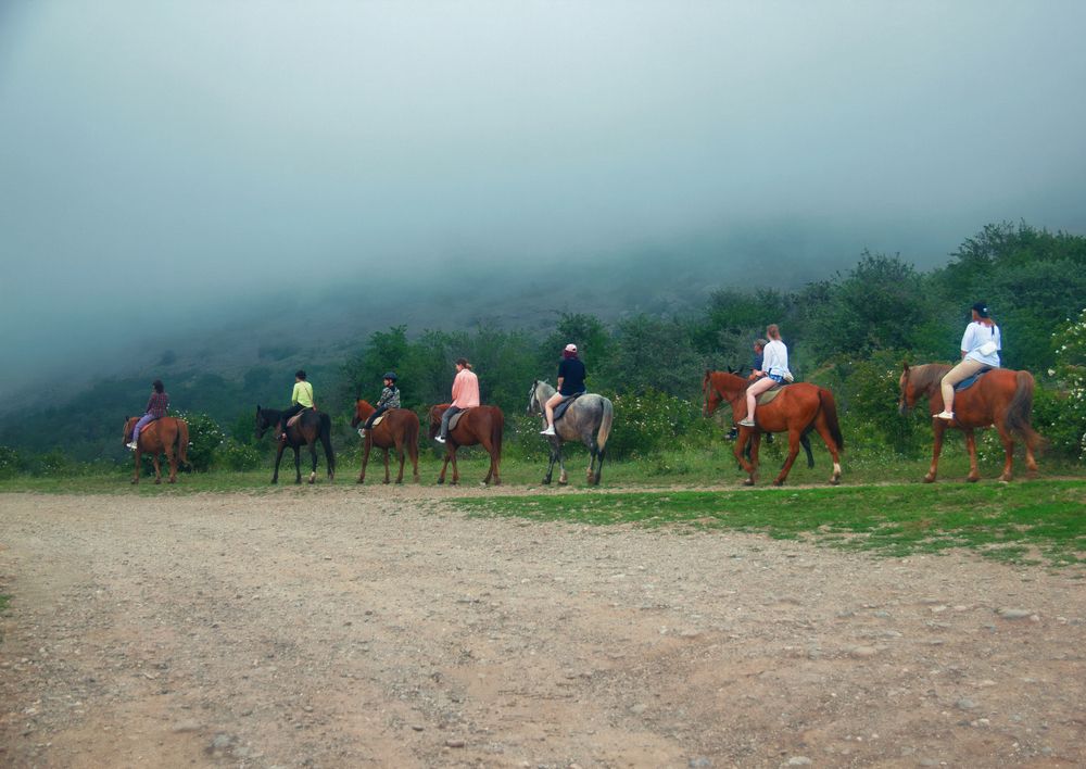 Фотография автора Орлова Ксения