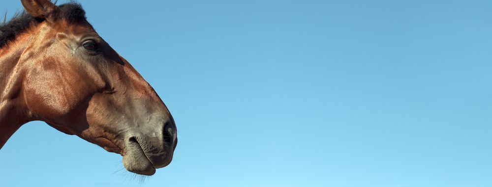 Фотография автора Андрей Семенков