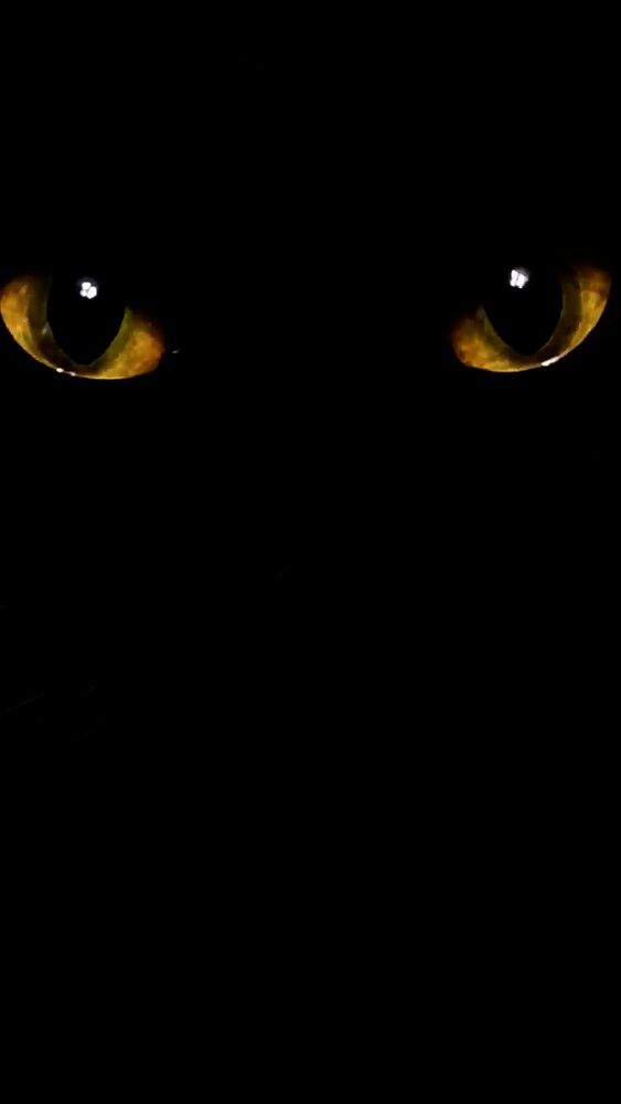 Photograph by Заира